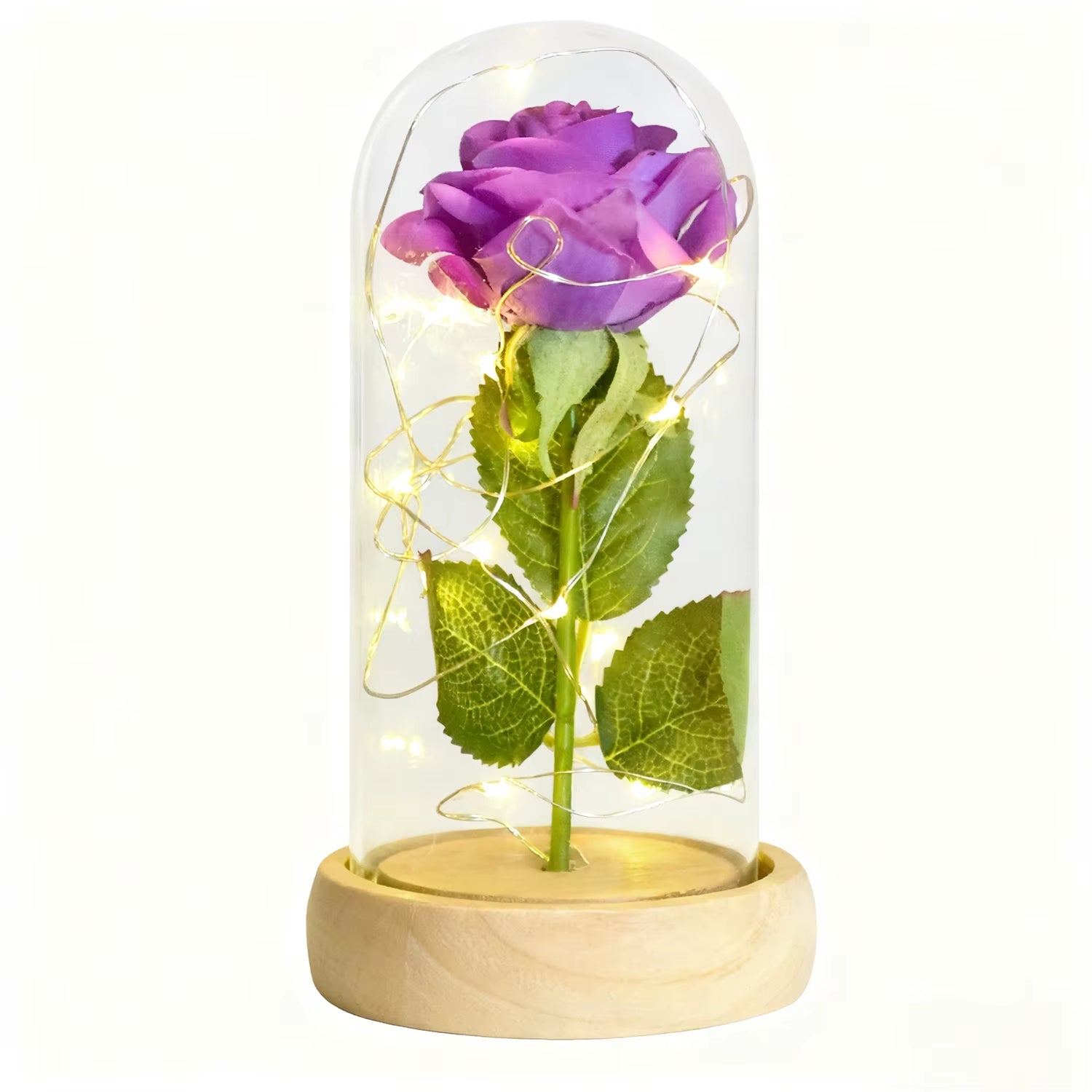 Gifts for Women Beauty and the Beast Preserved Roses in Glass Galaxy Rose LED Light Artificial Flower Birthday Gift for Girls
