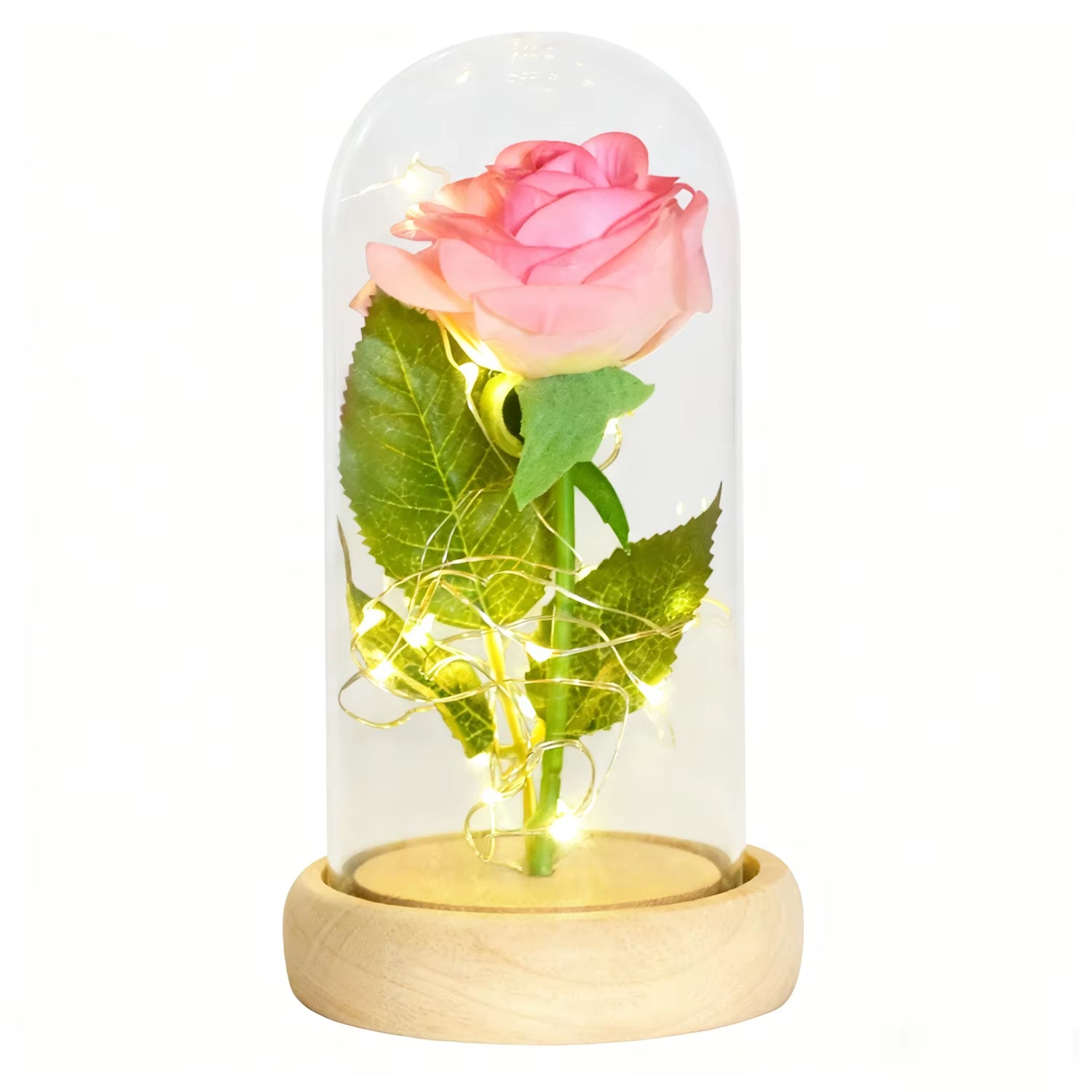 Gifts for Women Beauty and the Beast Preserved Roses in Glass Galaxy Rose LED Light Artificial Flower Birthday Gift for Girls